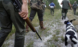 دستگیری 11 شکارچی در مناطق حفاظت شده شیروان